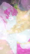 petitekitti Altpins Profile Picture