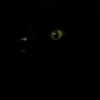 celecia Altpins Profile Picture