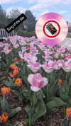 zz.eazoning Altpins Profile Picture