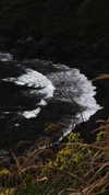 _xixiyx_ Altpins Profile Picture
