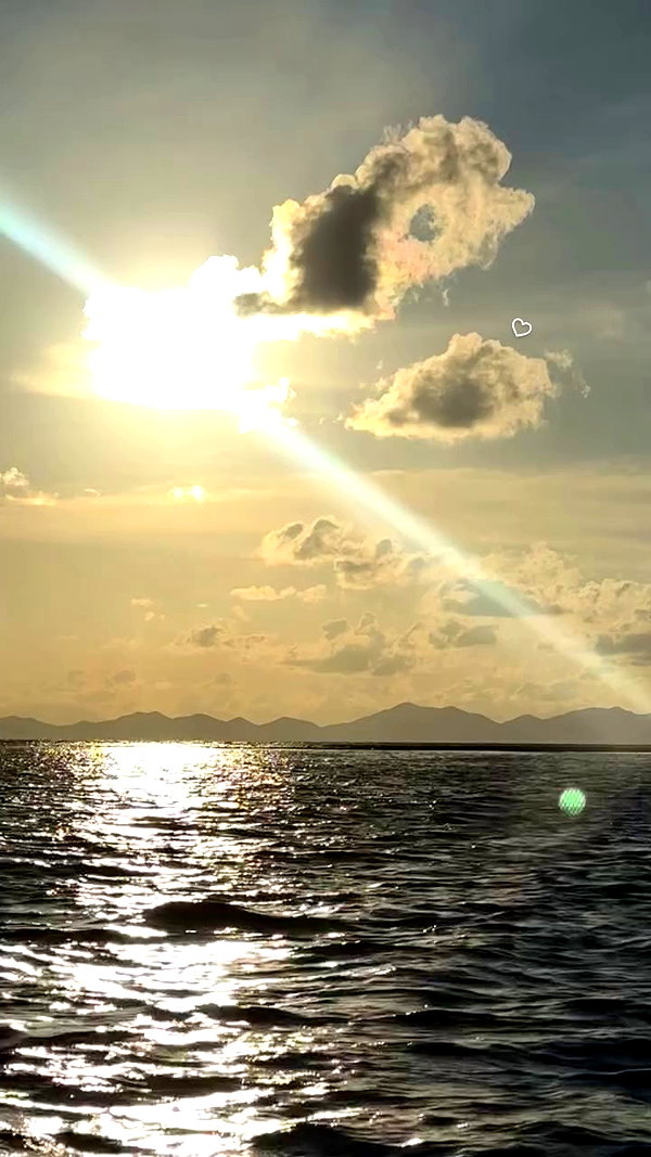 noa_mendel_ archive video preview