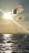 noa_mendel_ Altpins Profile Picture