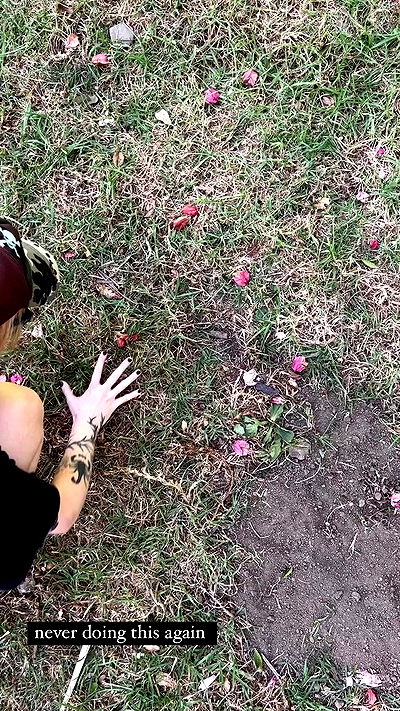 nikkibitez nikkibitez archive video