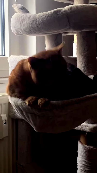 yoo.mon yoo.mon archive video