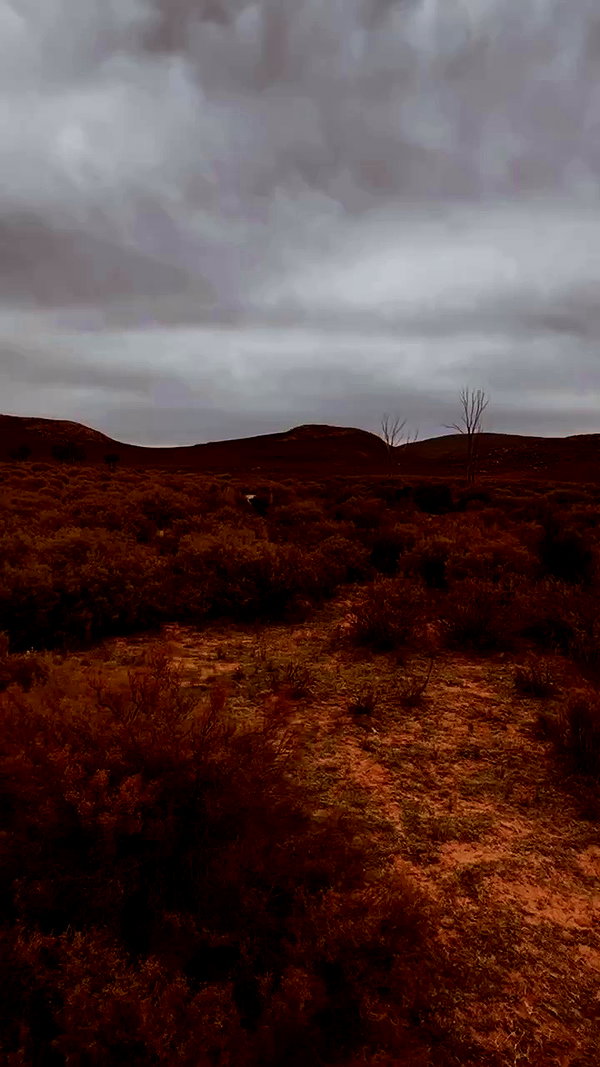 kristenhancher archive video preview