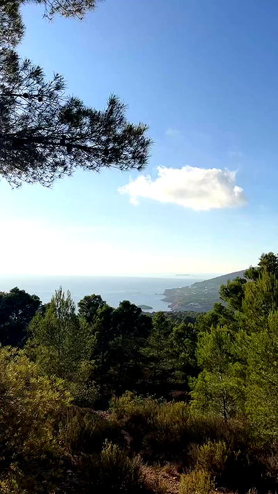 payton.r payton.r archive video