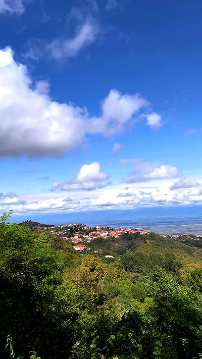 diana_polin diana_polin archive video