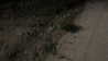 protheme Altpins Profile Picture