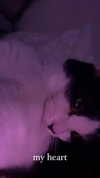 shawtysuzi Altpins Profile Picture