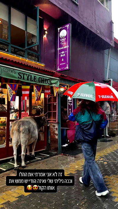 ronyida_ ronyida_ archive video