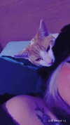 petitekitti Altpins Profile Picture