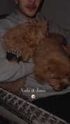 anya_shtril Altpins Profile Picture