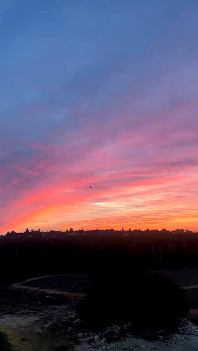 alice.skym alice.skym archive video