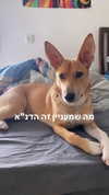 liem_sadan Altpins Profile Picture