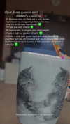 mittzaa_ Altpins Profile Picture