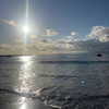 celecia Altpins Profile Picture