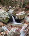 alexandra_stmtk Altpins Profile Picture