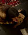 noa_mendel_ Altpins Profile Picture