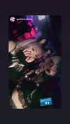 petitekitti Altpins Profile Picture