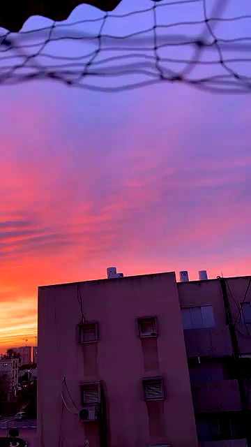 sofiabooshin sofiabooshin archive video