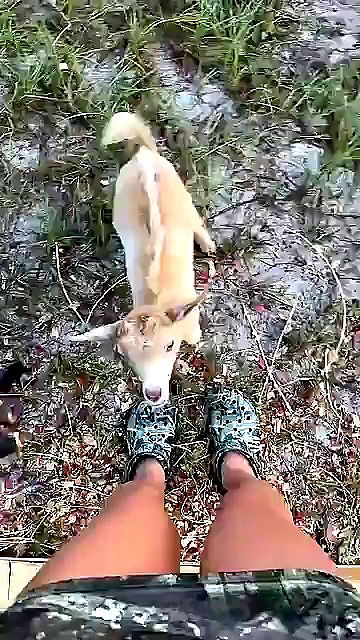 sophieraiin sophieraiin archive video