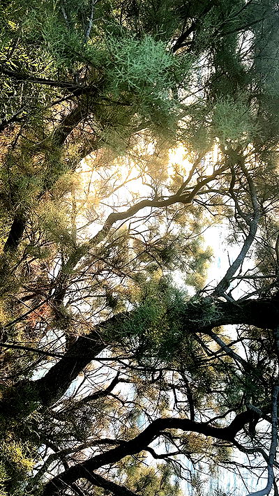 xzot1_met4xx xzot1_met4xx archive video