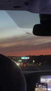 sydney_melman Altpins Profile Picture