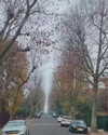 noa_mendel_ Altpins Profile Picture