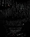 noa_mendel_ Altpins Profile Picture