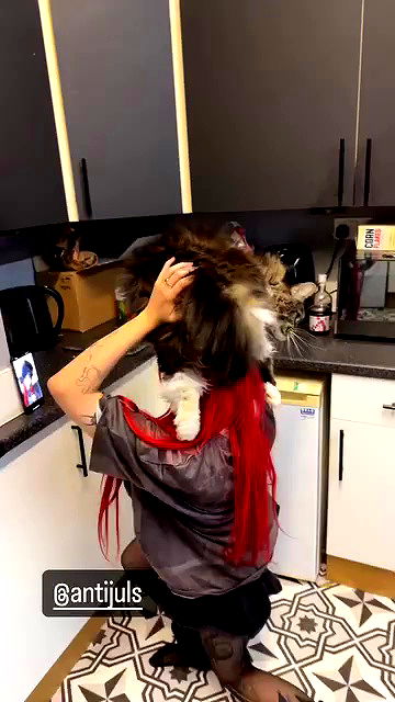 silkton silkton archive video