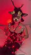 petitekitti Altpins Profile Picture