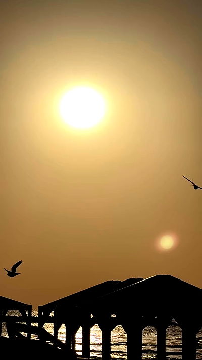 itsilanosh itsilanosh archive video