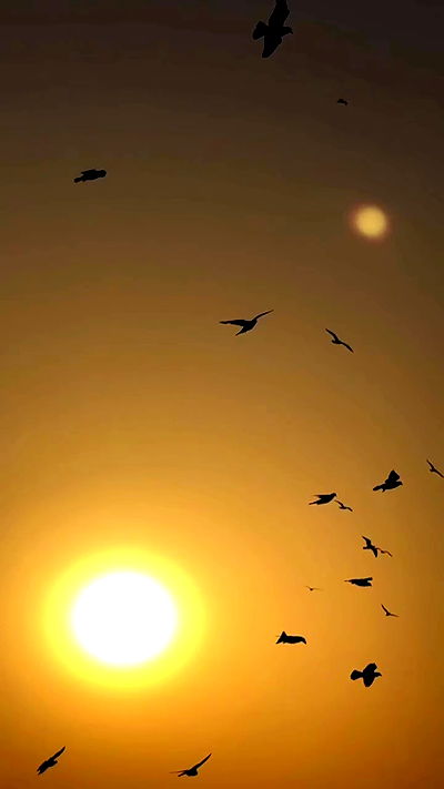 itsilanosh itsilanosh archive video