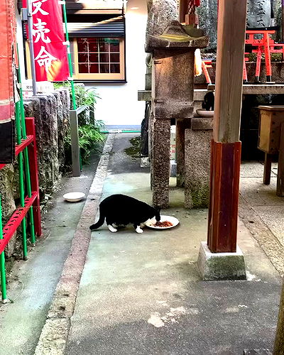 elianachetrit elianachetrit archive video