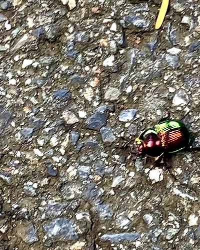 elianachetrit elianachetrit archive video