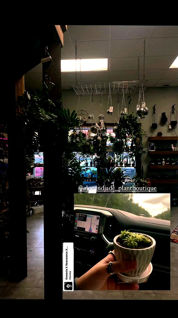 ellmari.e archive video preview