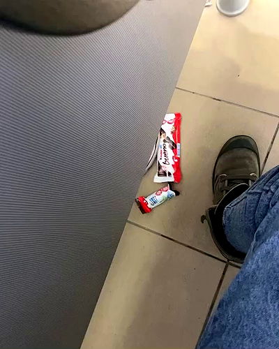 tuliprivet tuliprivet archive video