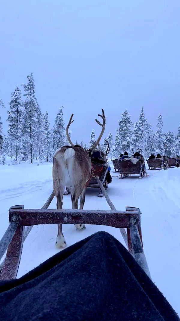 alexandramarianna archive video preview