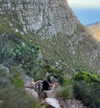 noa_mendel_ Altpins Profile Picture