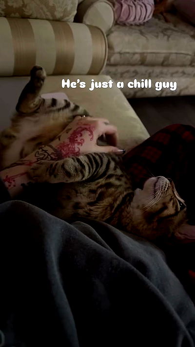 laurinchhhe laurinchhhe archive video