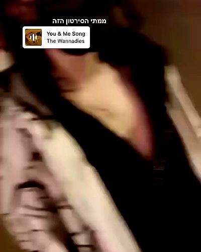 tuliprivet tuliprivet archive video