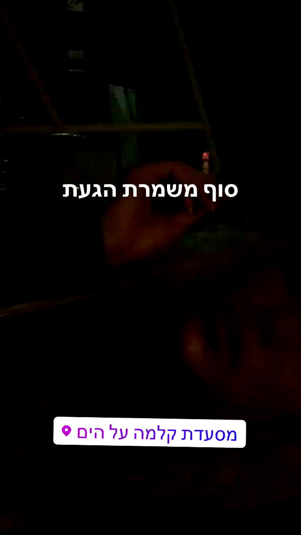 danegorova archive video preview