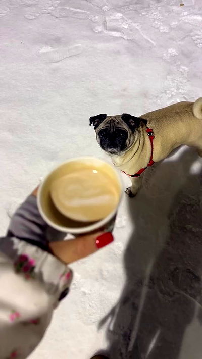 nyityam nyityam archive video