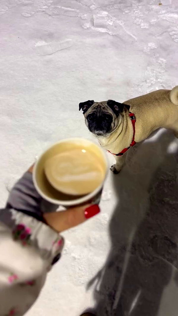 nyityam archive video preview