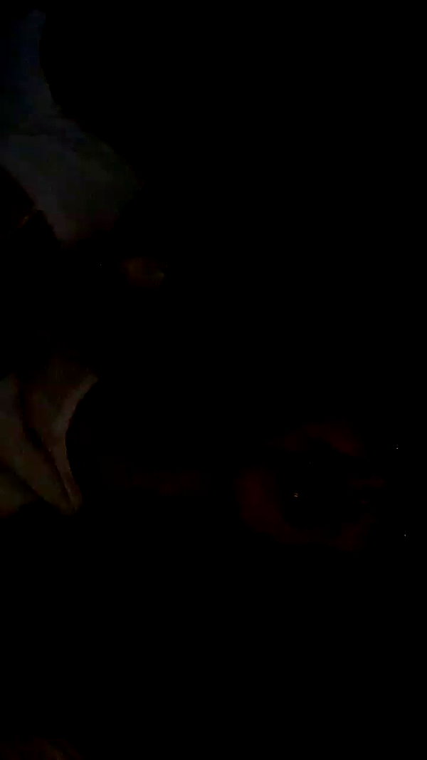 danegorova archive video preview