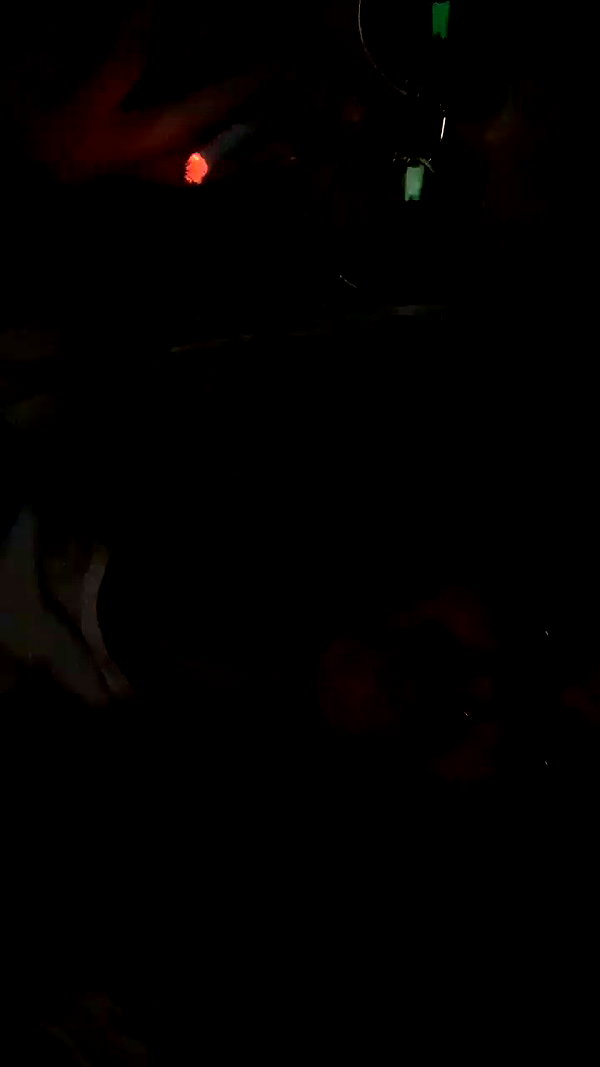 danegorova archive video preview