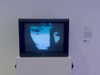 lillywestonn Altpins Profile Picture