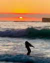 noa_mendel_ Altpins Profile Picture