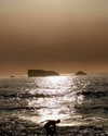 noa_mendel_ Altpins Profile Picture