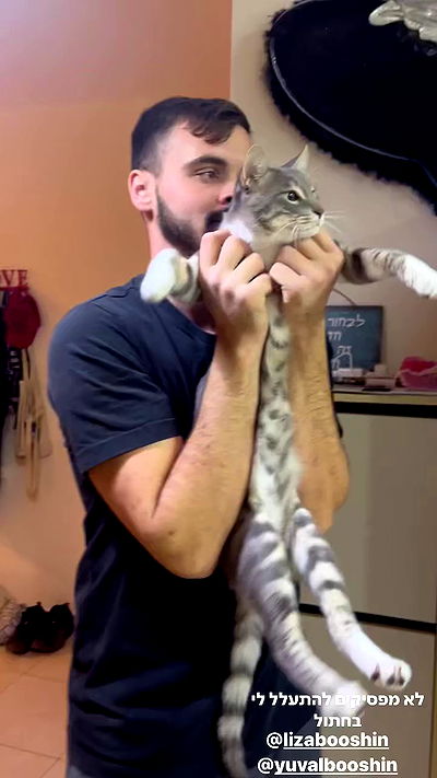 sofiabooshin sofiabooshin archive video